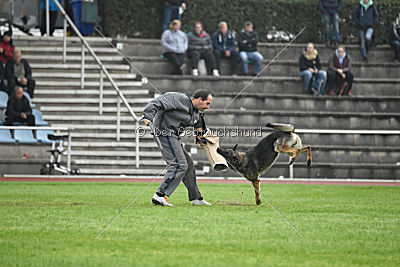 Bushido von Hund und Sport