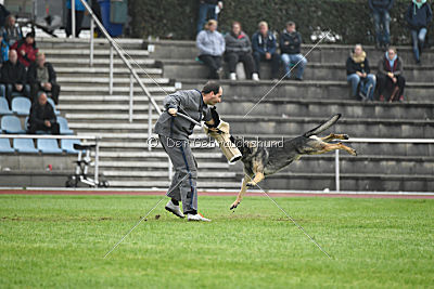 Bushido von Hund und Sport