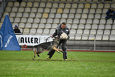 Bushido von Hund und Sport