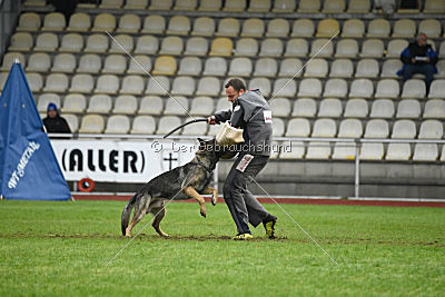 Bushido von Hund und Sport