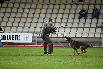 Bushido von Hund und Sport