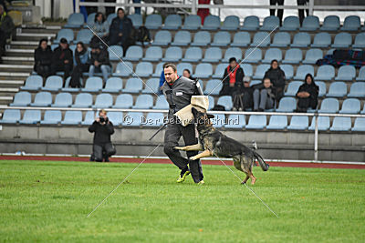 Bushido von Hund und Sport