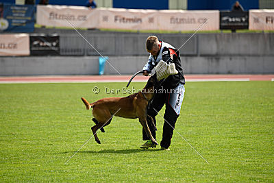 Butch de la Videmanette