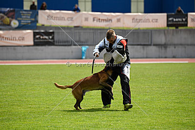 Butch de la Videmanette