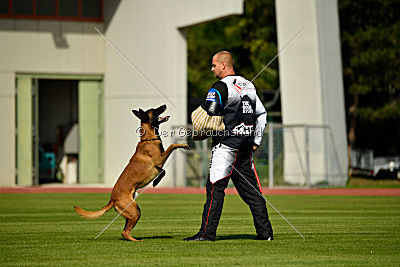 Butch de la Videmanette