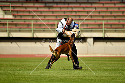 Butch de la Videmanette