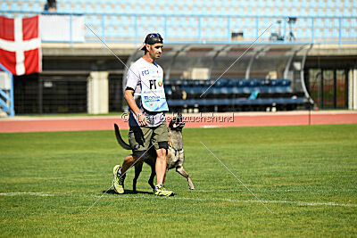 Butterfly vom Spiritus Lusitanus