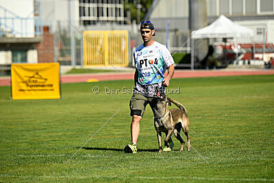 Butterfly vom Spiritus Lusitanus