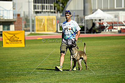 Butterfly vom Spiritus Lusitanus