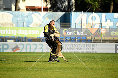 Butterfly vom Spiritus Lusitanus