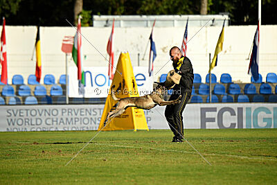 Butterfly vom Spiritus Lusitanus