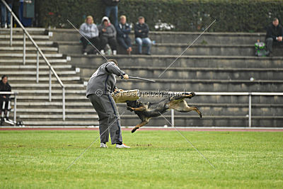 Byleist vom dunklen Kerker