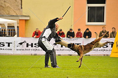 C'Max De La Croisee Des Loups