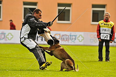 C'Max De La Croisee Des Loups