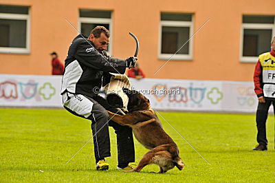 C'Max De La Croisee Des Loups