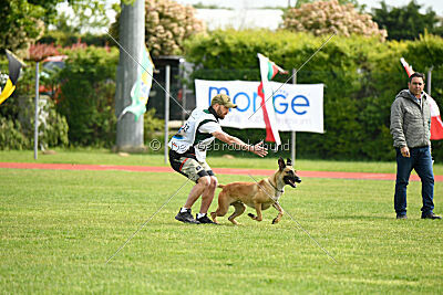 C'Rapper King Regent