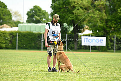 C'Rapper King Regent