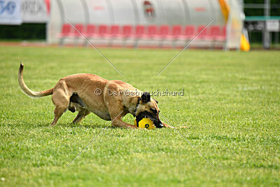 C'Rapper King Regent