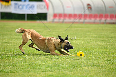 C'Rapper King Regent