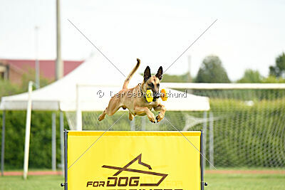 C'Rapper King Regent