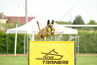 C'Rapper King Regent