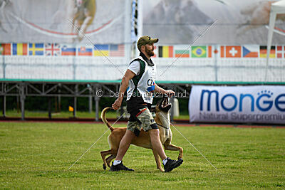 C'Rapper King Regent