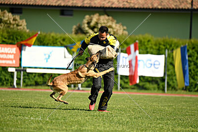 C'Rapper King Regent