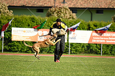 C'Rapper King Regent