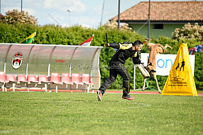 C'Rapper King Regent