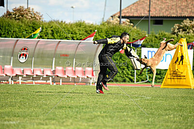 C'Rapper King Regent