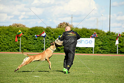 C'Rapper King Regent