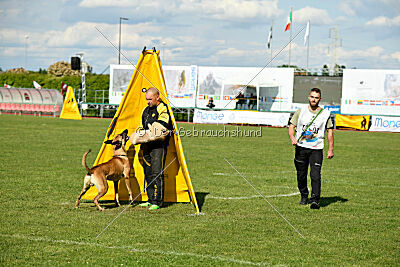 C'Rapper King Regent