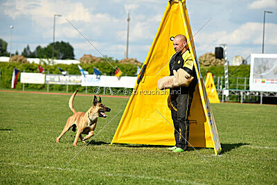 C'Rapper King Regent