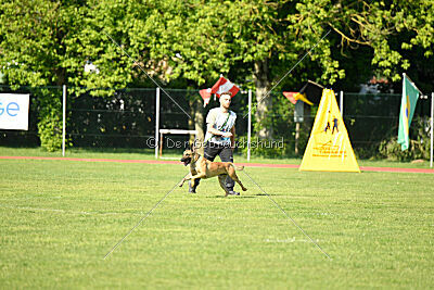 C'Rapper King Regent