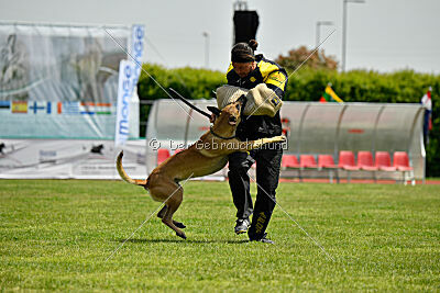 C'Rapper King Regent