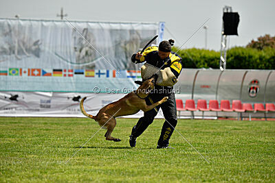 C'Rapper King Regent