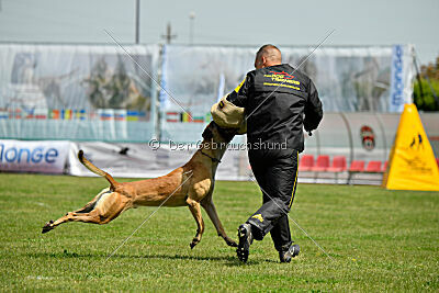 C'Rapper King Regent