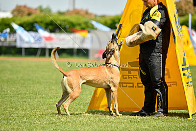 C'Rapper King Regent