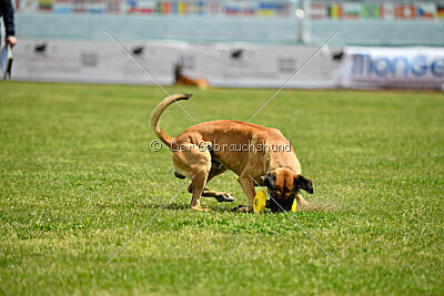 C'Rapper King Regent