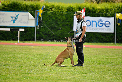 C'Rapper King Regent