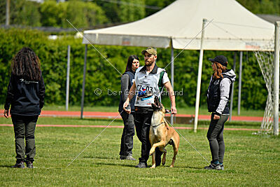 C'Rapper King Regent