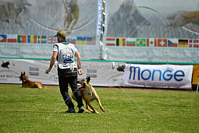 C'Rapper King Regent