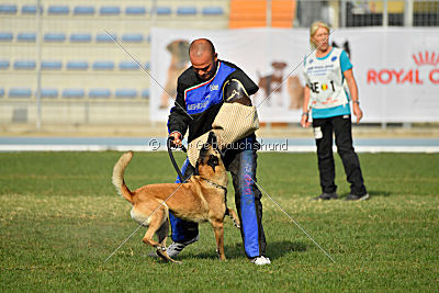 Cadha Force Canina