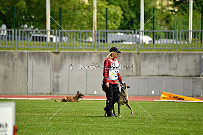 Cadha Force Canina