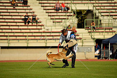 Cadha Force Canina
