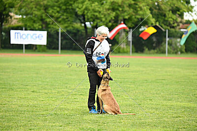 Caja von der Schwarzen Mamba