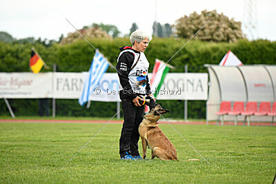 Caja von der Schwarzen Mamba