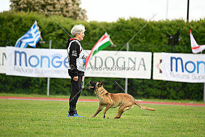 Caja von der Schwarzen Mamba