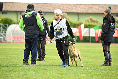 Caja von der Schwarzen Mamba