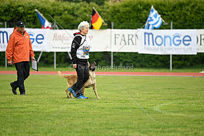 Caja von der Schwarzen Mamba